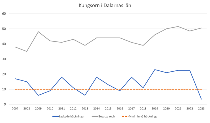 En graf som visar utvecklingen av kungsörnspopulationen i Dalarna från 2007 till 2023. Här ser vi antalet lyckade häckningar i relation till den minsta antalet häckningar som krävs varje år för att kungsörnsstammen i länet ska ligga på en hållbar nivå. Sedan 2016 har antalet lyckade häckningar varit fler en miniminivån, men 2023 ser vi att antalet häckningar sjunkit till 4. Det kan relateras till miniminivån som är 10 lyckade häckningar per år. 