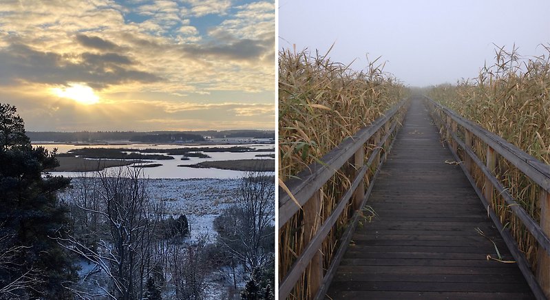 Två bilder: 1. utsikt över sjö med öar. Solen strilar genom moln på ett vintrigt landskap. 2. en bred spång leder genom vass i dimma.