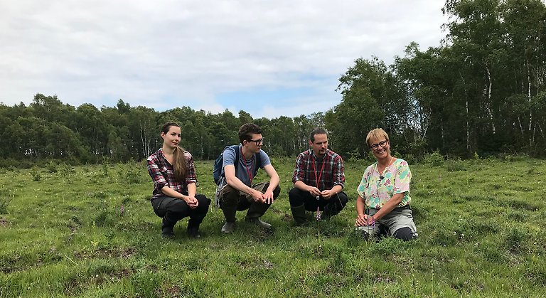 Fyra personer sitter på huk vid en grön våtmark