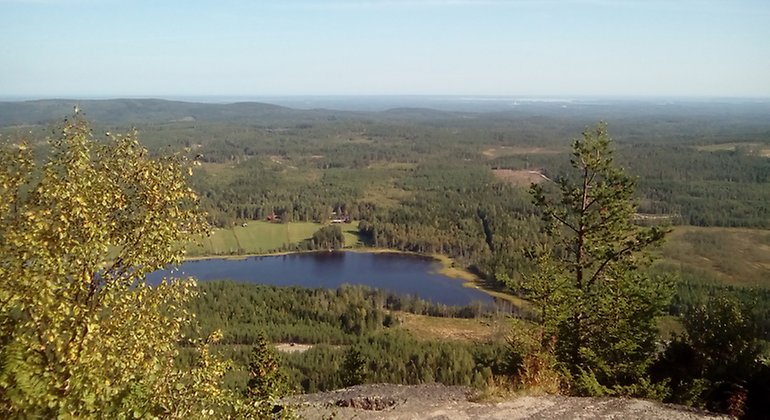 Utsikten från toppen av Blacksås mot öster. Foto: Länsstyrelsen Gävleborg