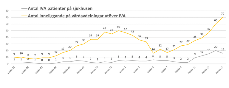 Graf som visar antal inneliggante covid-19-patienter i Dalarna
