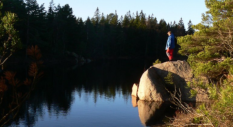 En solbelyst person står på en klipphäll och spanar ut över ett stilla vatten. Mittemot en mörk skog.