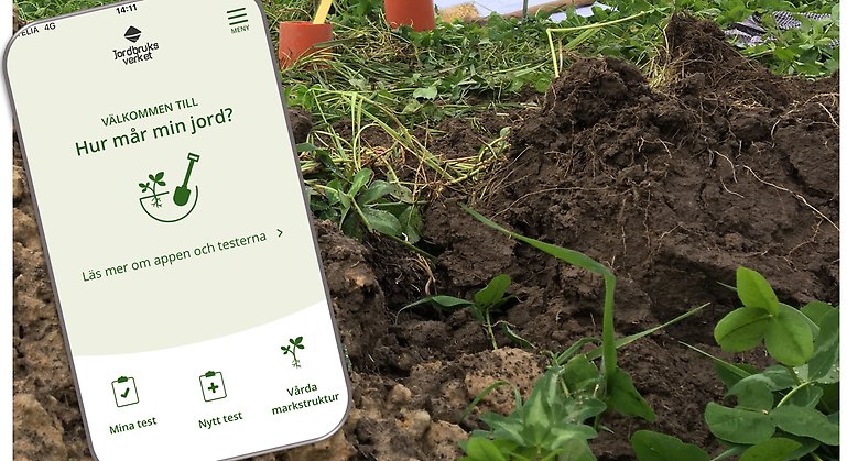 En telefon som visar appen från jordbruksverket "Hur mår din jord?".