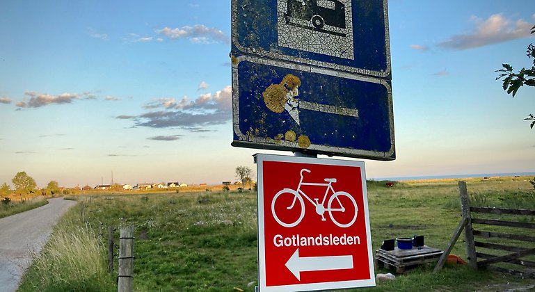 Stolpe med skyltar: Husvagn, pil och cykel. Bakomsyns slingrande väg och gotländsk natur