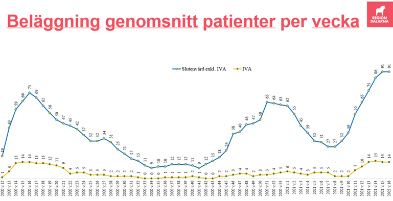 Graf som visar antalet patienter som vårdas i Dalarna på grund av covid-19. 