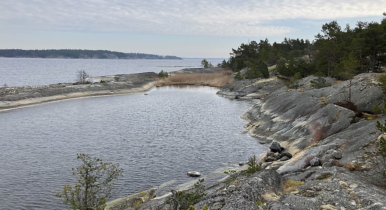 Djup vik med vackra grå klippor och vass i naturreservatet Södra Stavsudda.