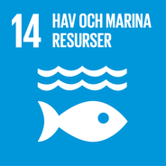 Globala målen mål 14, hav och marina resurser.