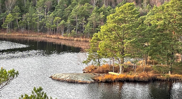 Utsikt över Stora Alsjön. På en udde står en rastbänk. Foto: Länsstyrelsen