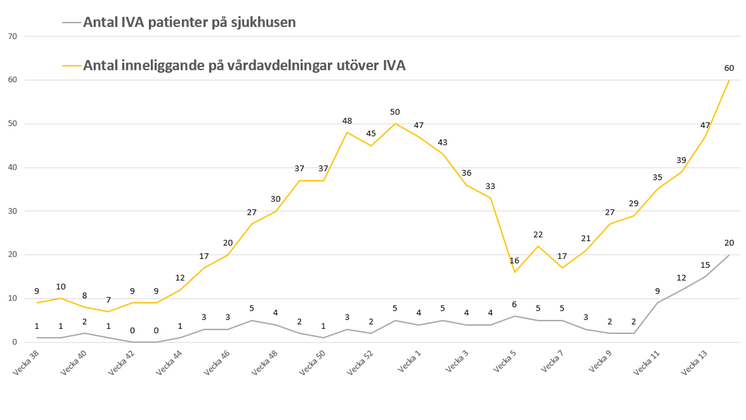 Graf som visar antalet covid-smittade i Dalarna 