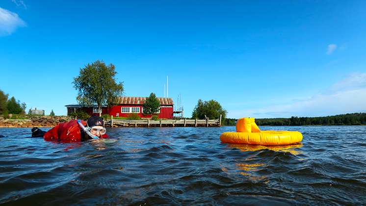 Kvinna snorklar i kustmiljö.
