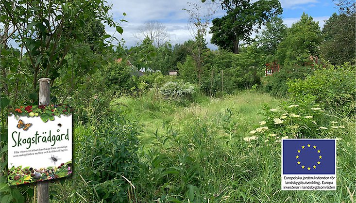 Foto av en grönskande trädgård. Till vänster i fotot syns en skylt med ordet "skogsträdgård".