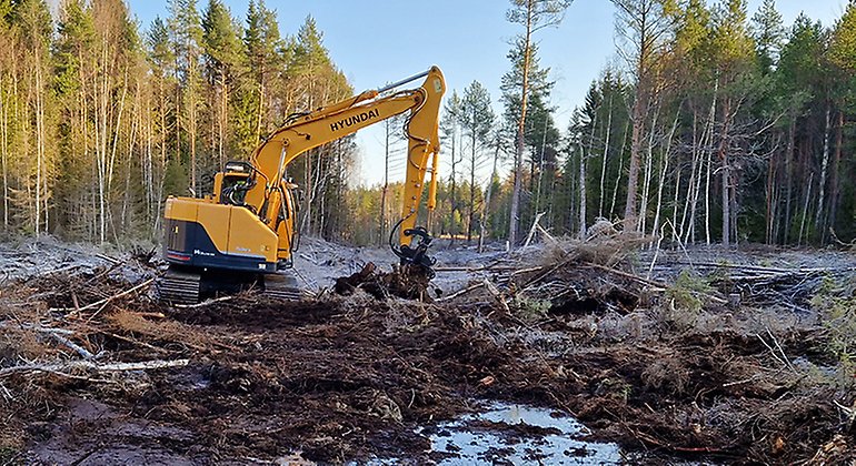 Stora våtmarksområden återställs i Västerbotten