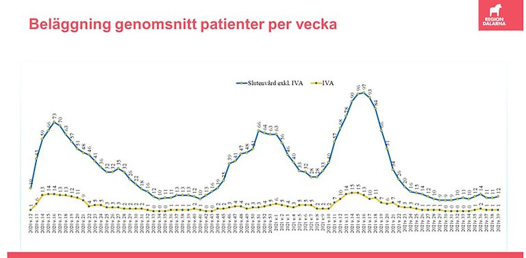 Graf som visar antalet covid-19-patienter i Dalarna. Grafen visar att det varit 12 inneliggande patienter och en IVA-patient föregående vecka. 