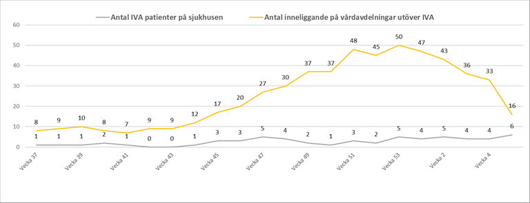 Graf som visar antalet allvarligt sjuka i Dalarna
