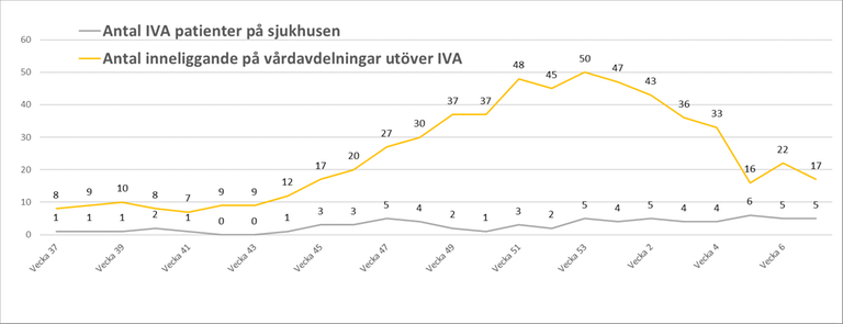 Graf som visar antalet patienter i Dalarna som vårdas för sina covid-19-symtom 