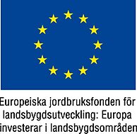 Europeiska jordbruksfonden för landsbygdsutveckling: Europa investerar i landsbygdsområdet logotype