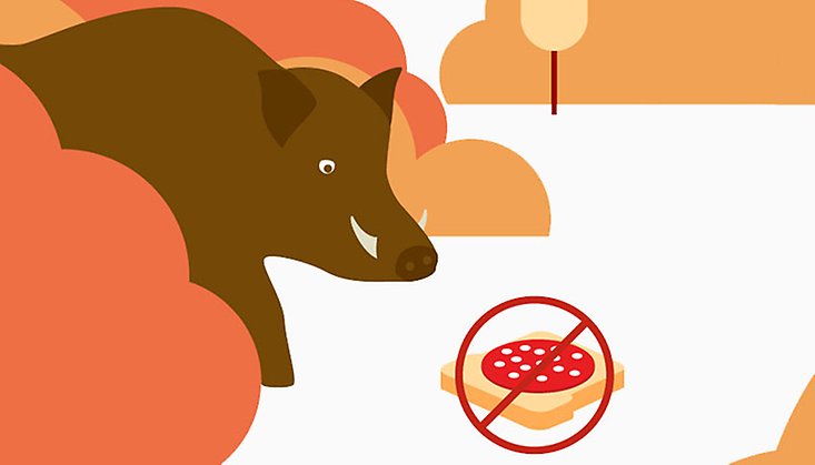 En illustration med ett brunt vildsvin som nosar på en macka med korv på slängd i naturen. Mackan har ett rött kryss över sig.