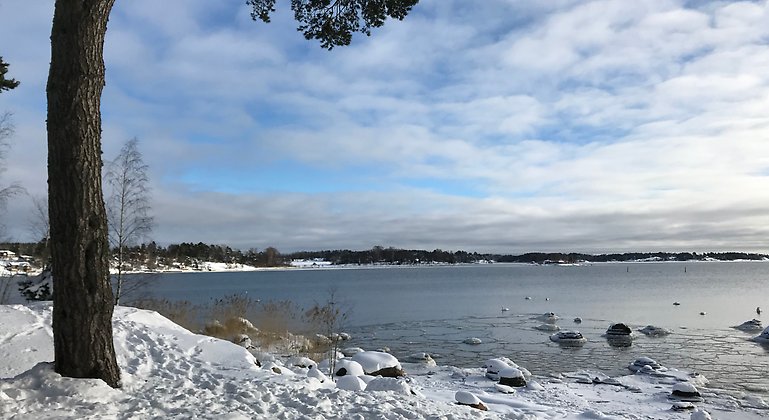 Örstigsnäs marina naturreservat i vinterskrud.