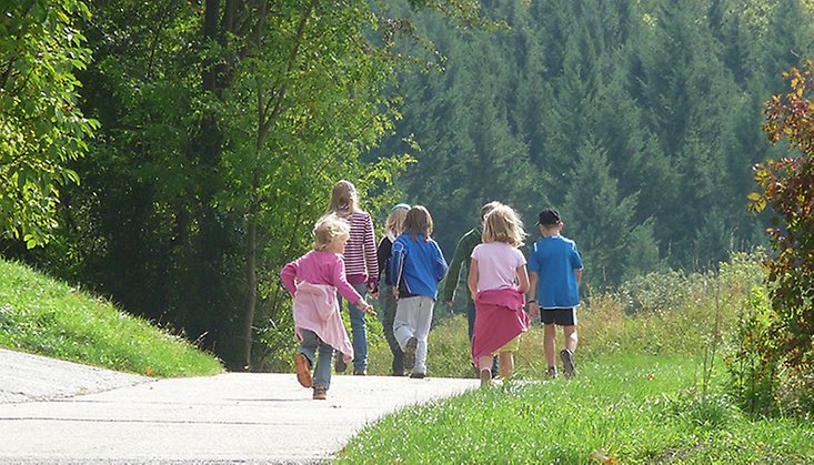 barn som går på en väg mot en skog