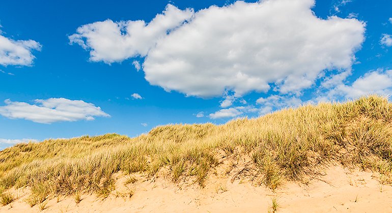 Vita moln på en blå himmel ovanför en sanddyn. 