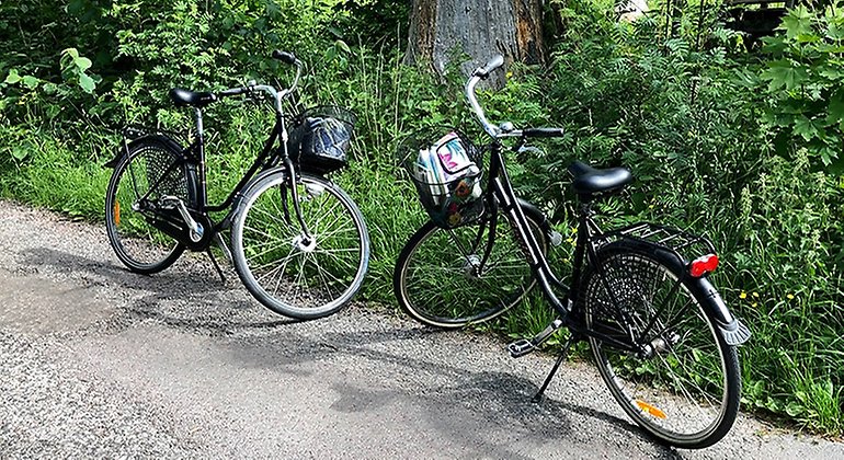 Två svarta damcyklar står parkerade med framhjulen mot varandra vid vägkant i grönskande landskap.