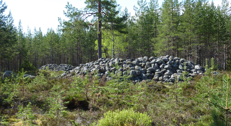 Stora högar av stenar i skogen.