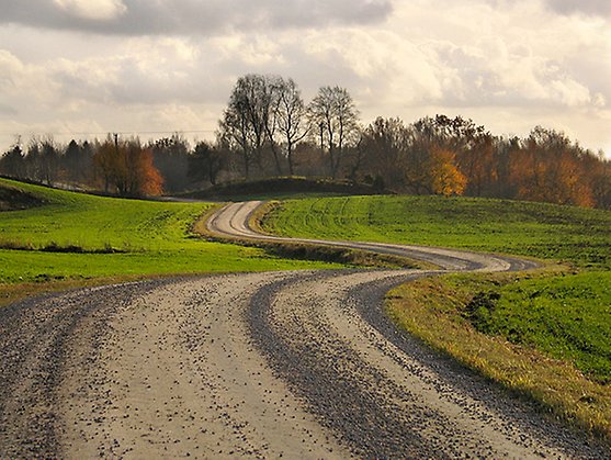 En grusväg slingrar sig framåt i ett höstlandskap på landsbygden.