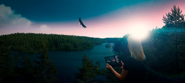 Utsikt över en fjord, fjäll, en örn flyger, en kvinna tittar på en surfplatta och har koll på örnen.