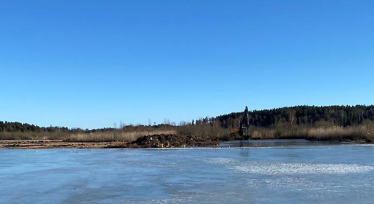En isklädd sjö med vass och buskar i bakgrunden. I vasskanten står en grävmaskin. Framför grävmaskinen finns en hög av jord, dy och grenar som grävmaskinen grävt upp ur sjön.