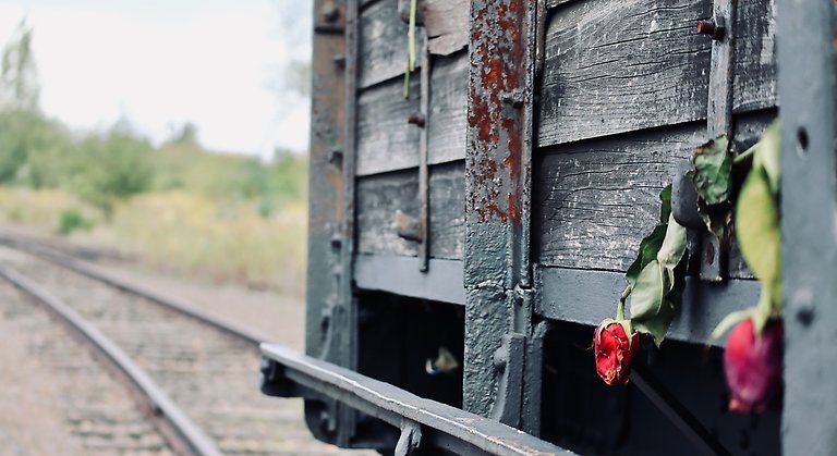 Foto på tågvagn där det hänger två vissna röda rosor.