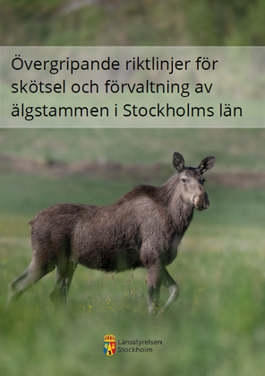 Omslagsbild saknas