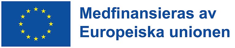 Logotyp EU-logotyp